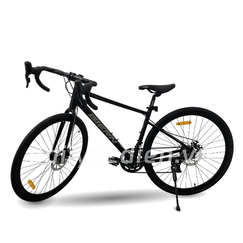 Xe đạp trợ lực ER200