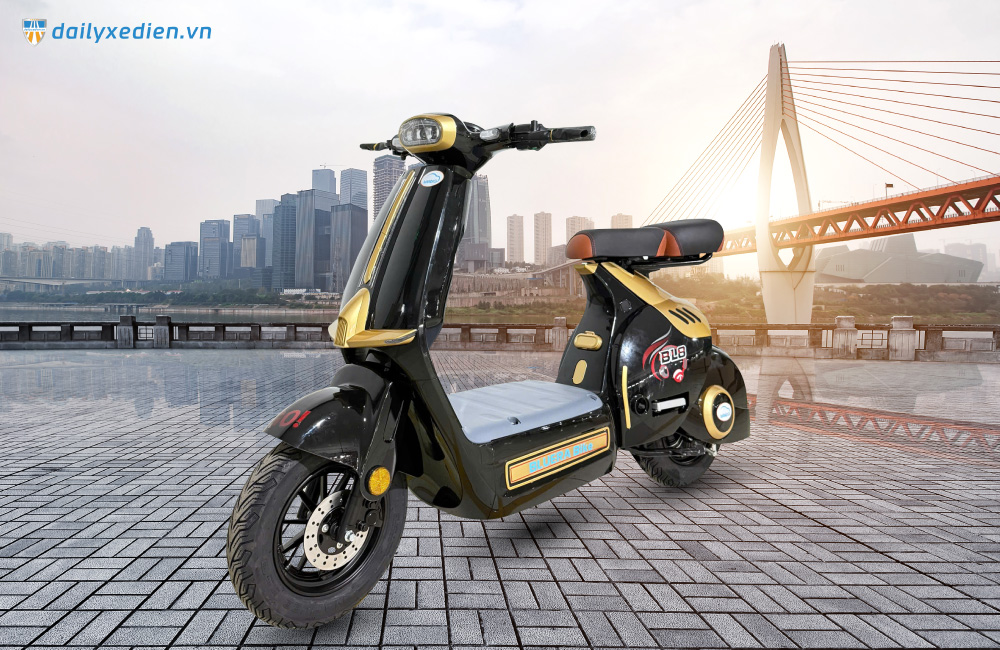 Xe đạp điện Bluera BL8