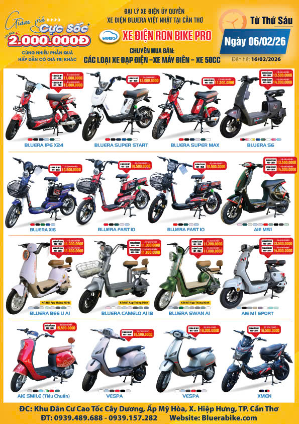 Các mẫu xe điện khuyễn mãi tại Bluera Việt Nhật