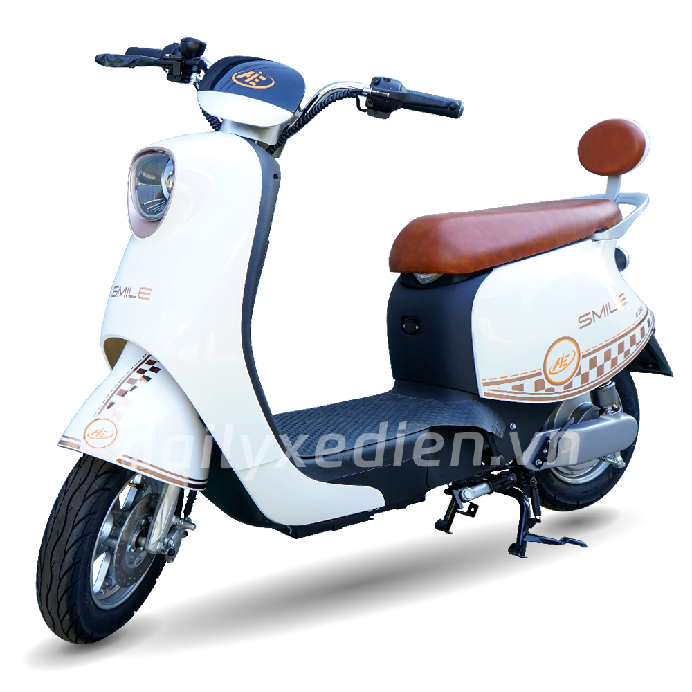Xe đạp điện AIE Smile bản đặc biệt